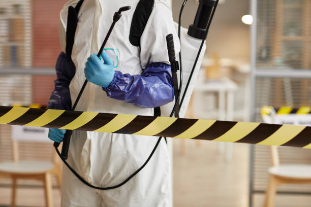 Professional Sewage Cleanup technician working in South Carver, MA
